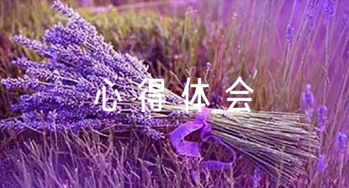 业余爱好者如何系统地学习篮球技能_2